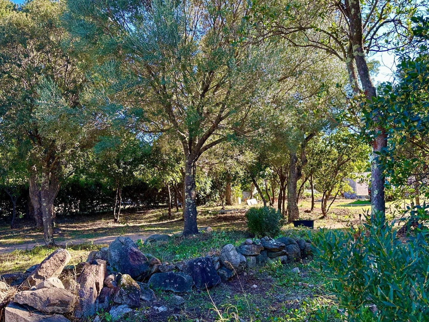 Terrain à vendre - 861m2 - Zonza (20144)