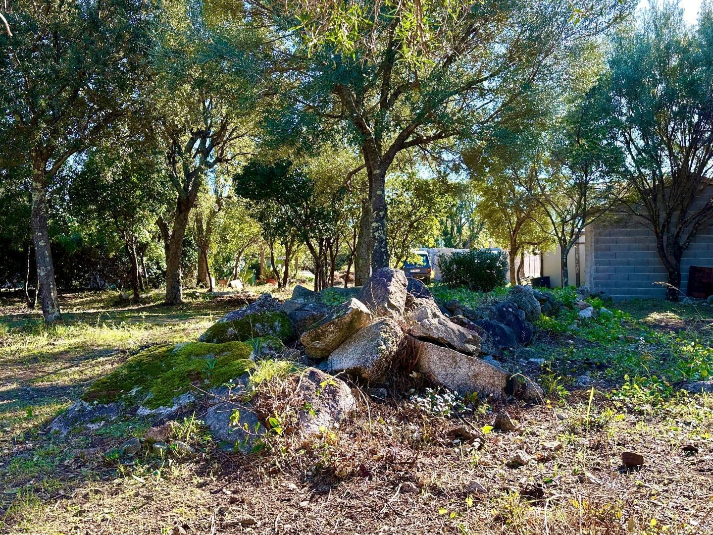 Terrain à vendre - 861m2 - Zonza (20144)