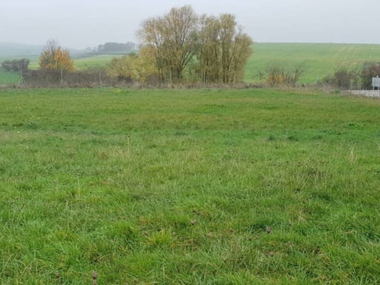 Terrain à Saint-Georges
