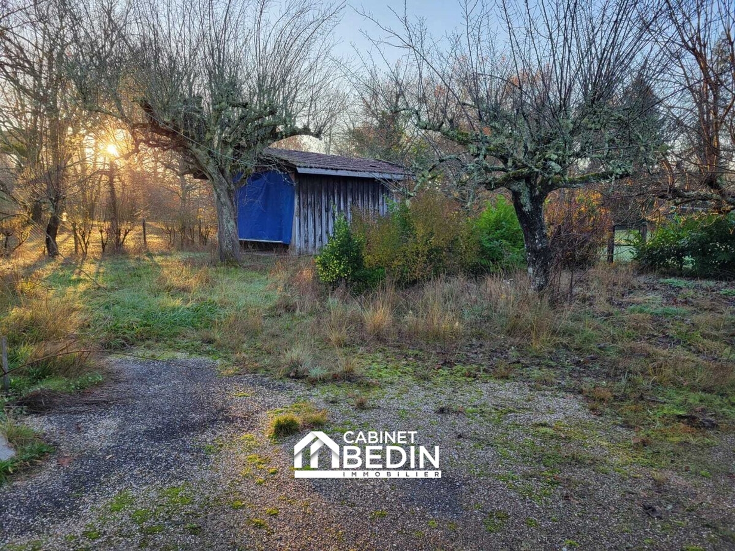Parking / garage / box à vendre - 606m2 - Belin-Béliet (33830)