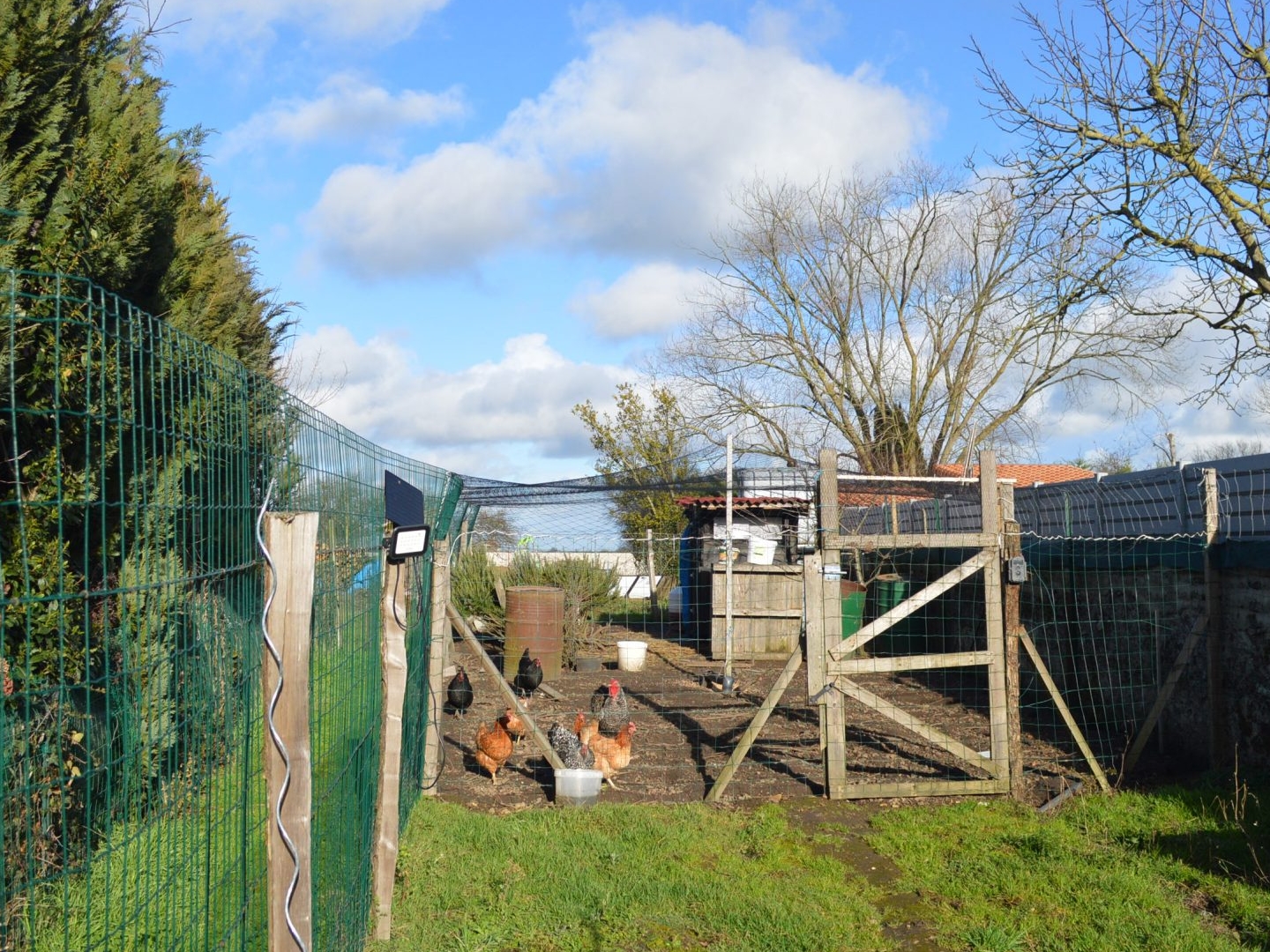 Terrain à vendre - 230m2 - Simplé (53360)