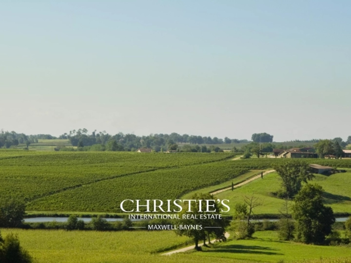Domaine Viticole d'Exception et ses Millésimées de Bas-Armagnac