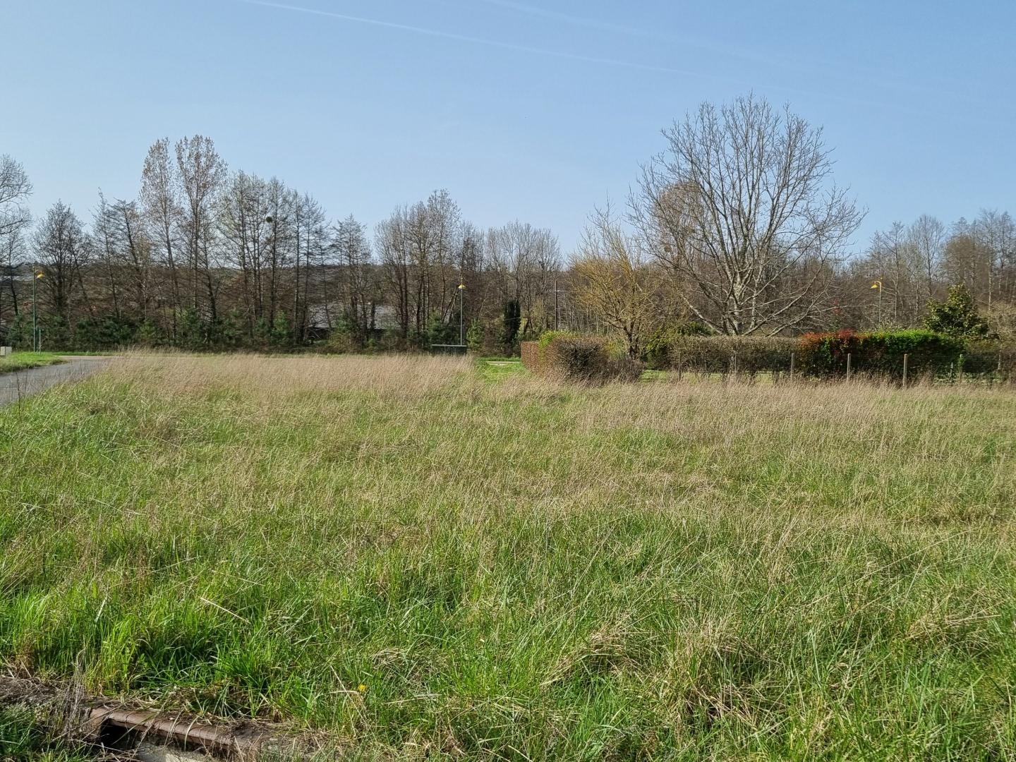 Terrain à bâtir