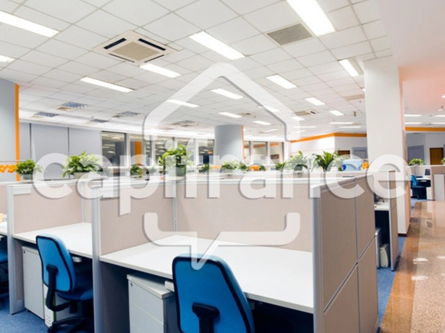 Commerce 20 pièces 587 m²