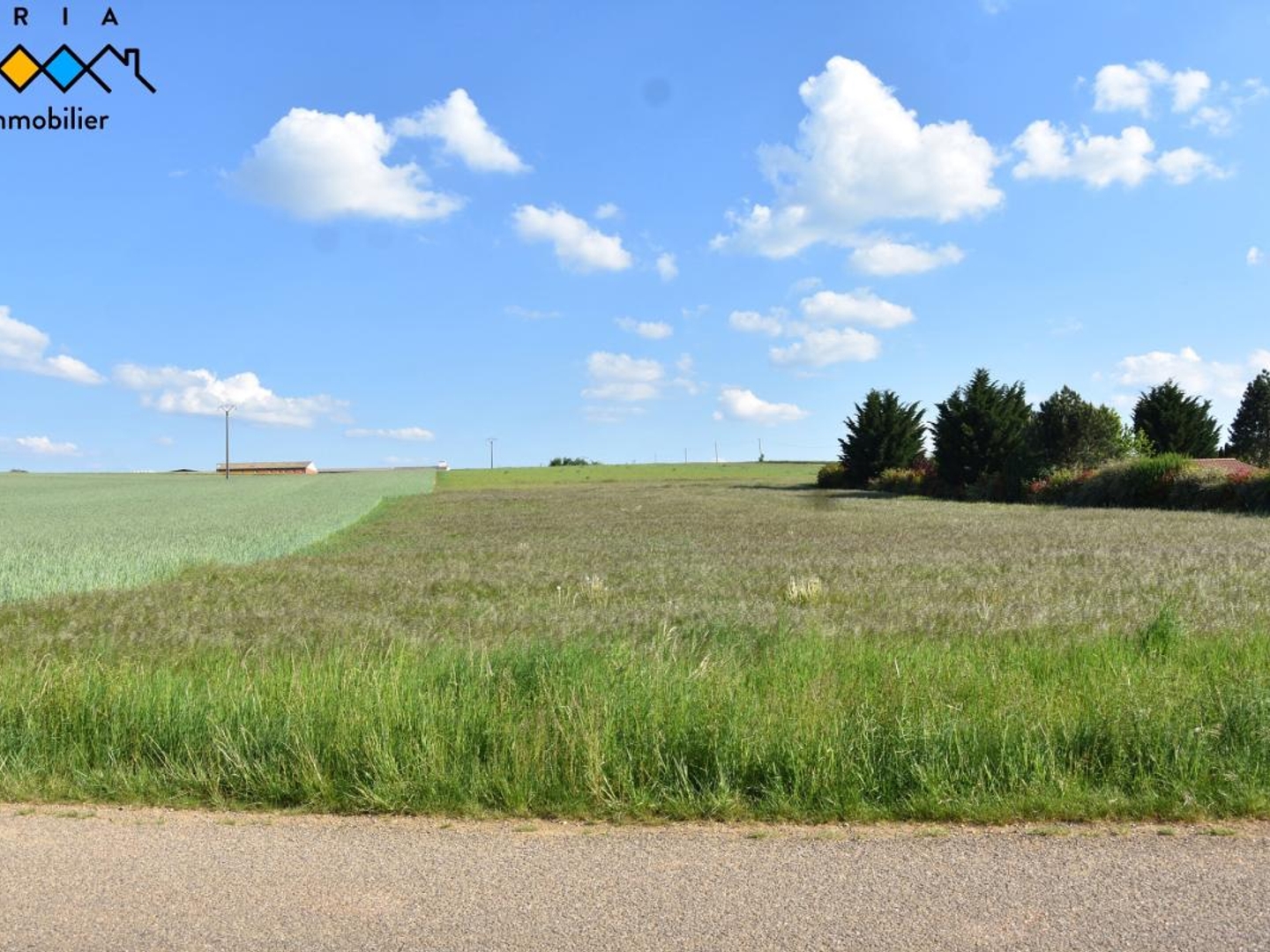 Terrain en individuel 1814 m²