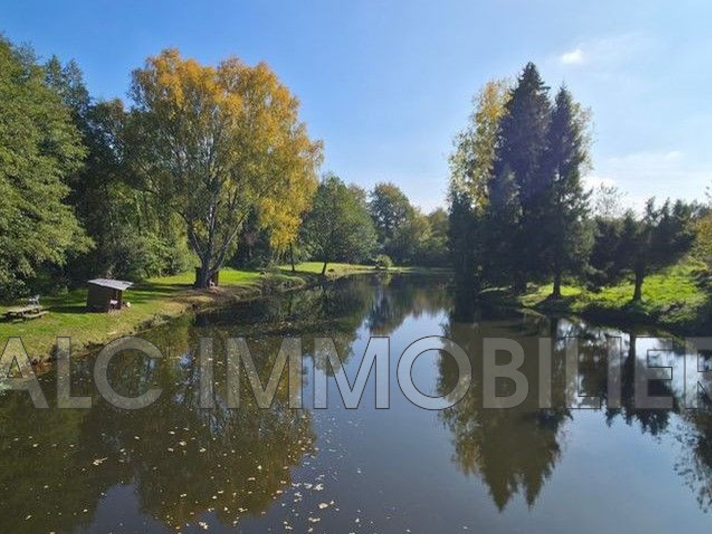Terrain à vendre - 6100m2 - Tinchebray-Bocage (61800)