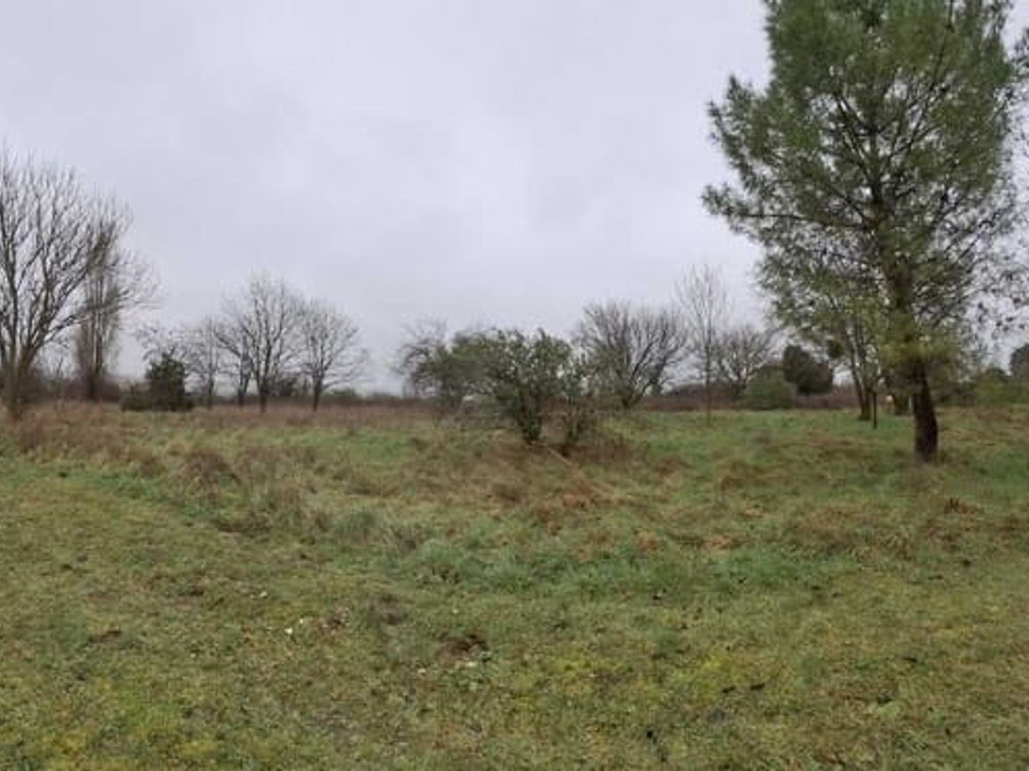Terrain