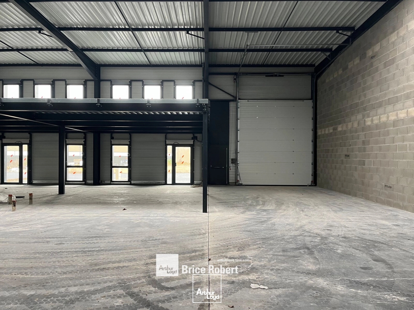 Locaux à vendre - 259m2 - Mionnay (01390)