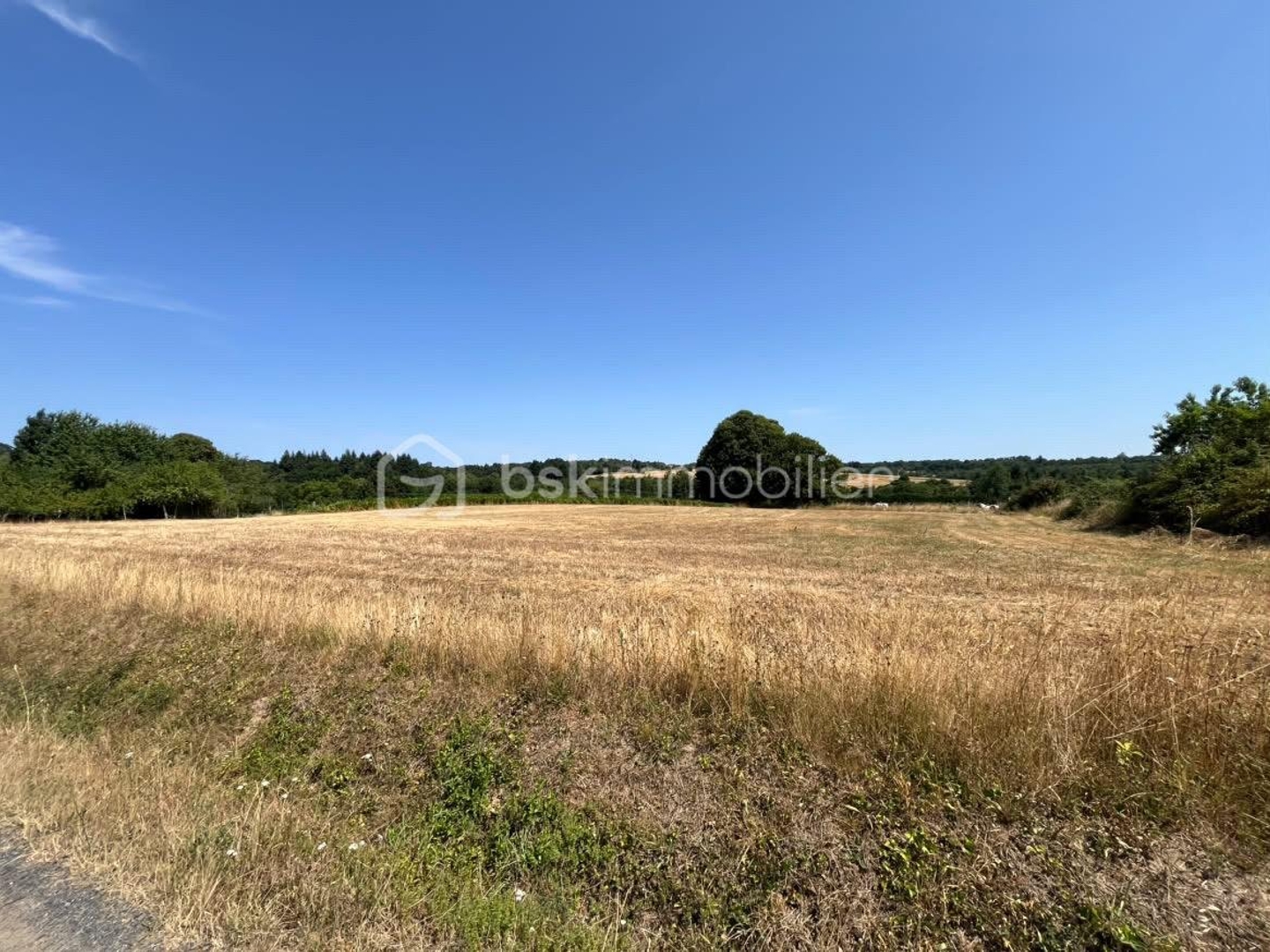Terrain à vendre - 4650m2 - Jumilhac-Le-Grand (24630)