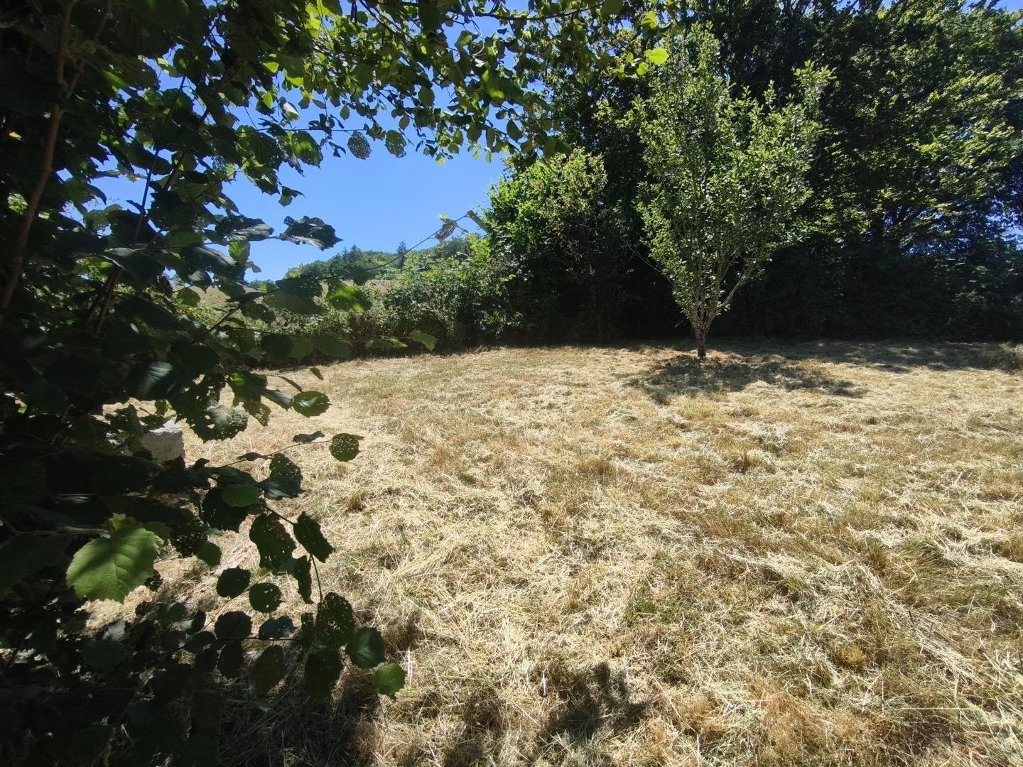 Maison à vendre - 3 pièces - 59m2 - Saint-Gérons (15150)