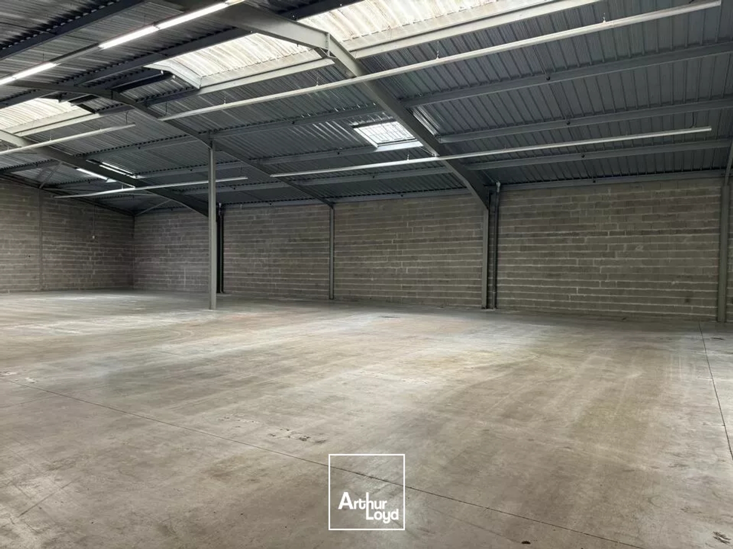 Locaux à vendre - 1320m2 - Notre-Dame-D'oé (37390)