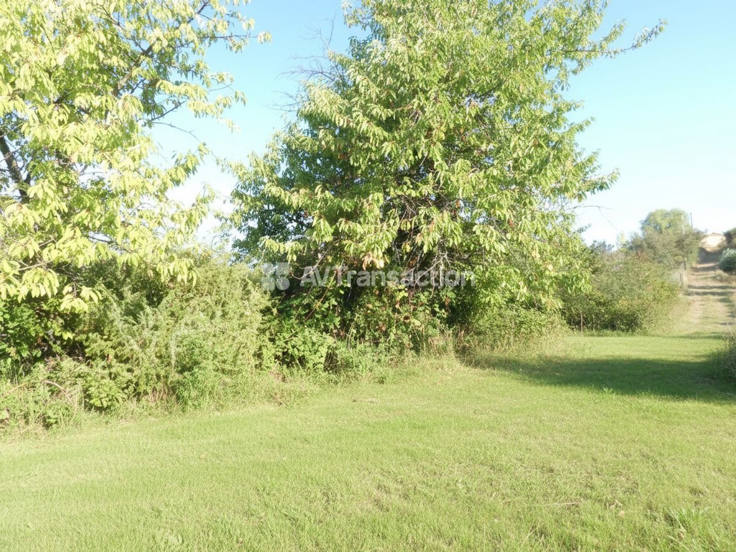 AUPS : Magnifique terrain truffier de 4827m2
