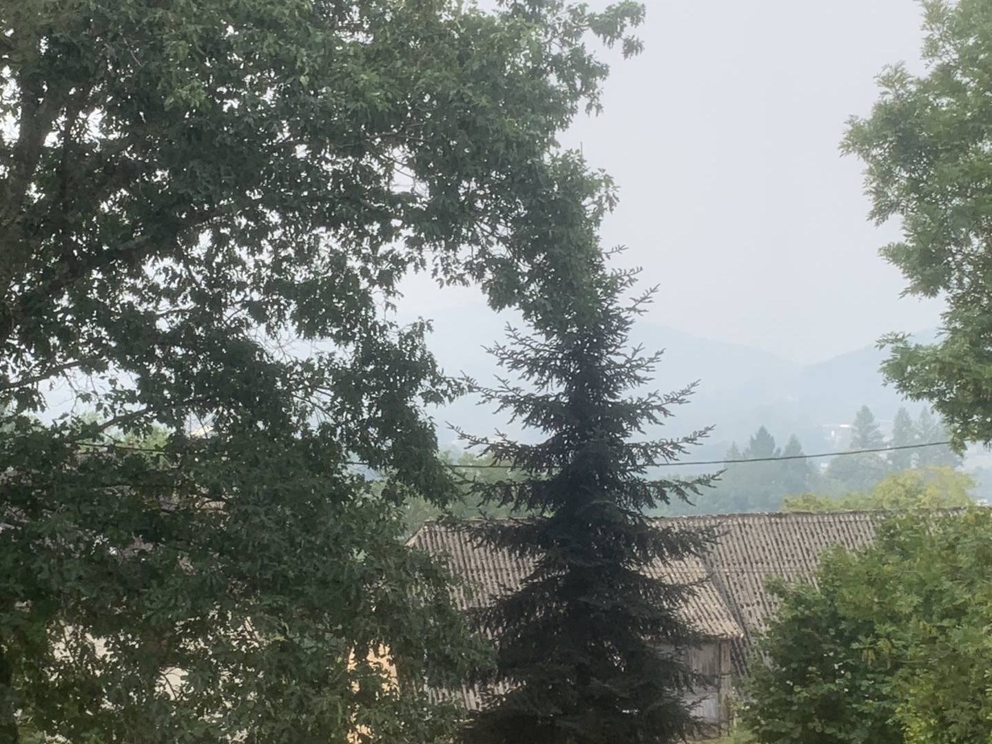 Terrain à vendre - 1475m2 - Argentat-Sur-Dord... (19320)