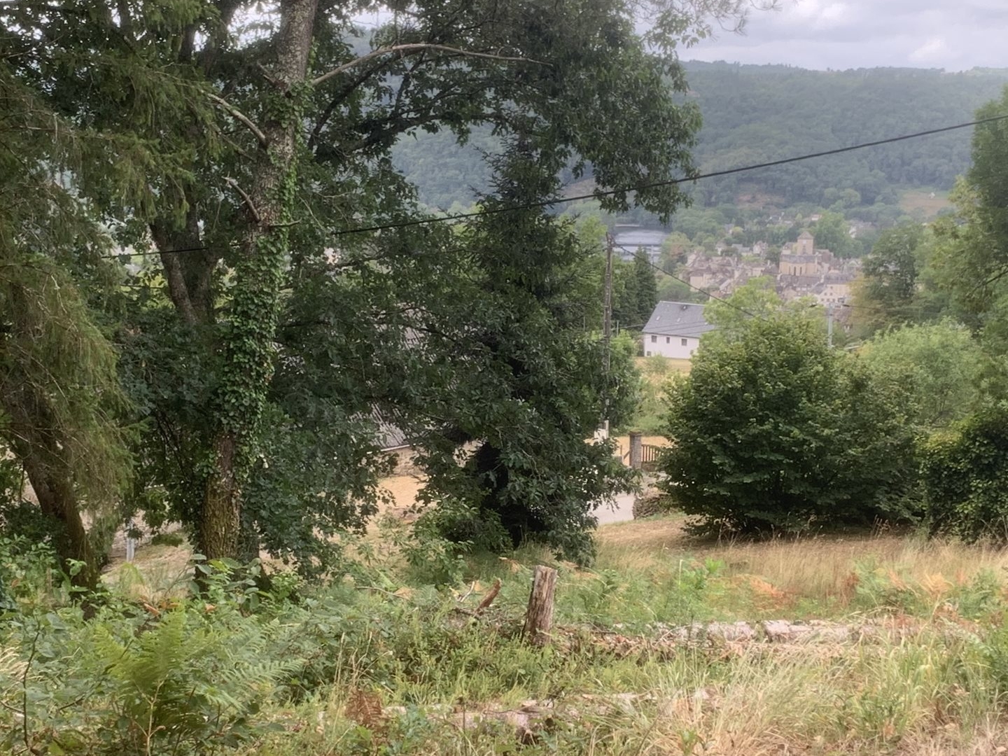 Terrain à vendre - 1475m2 - Argentat-Sur-Dord... (19320)