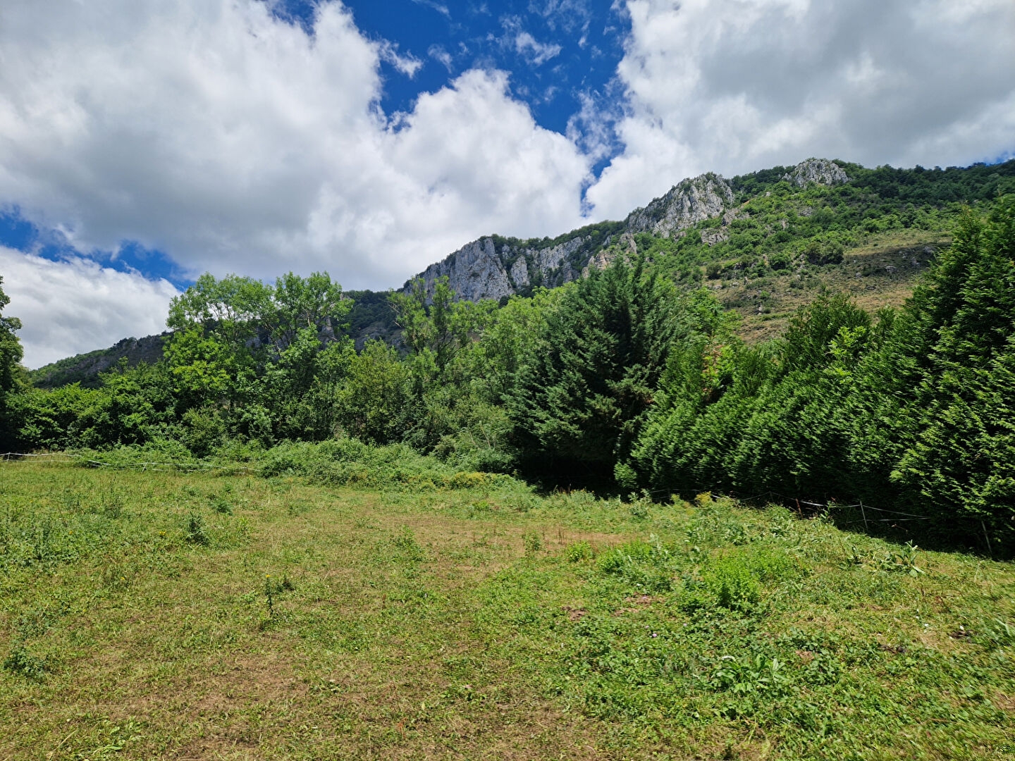Terrain à vendre - 1500m2 - Soula (09000)