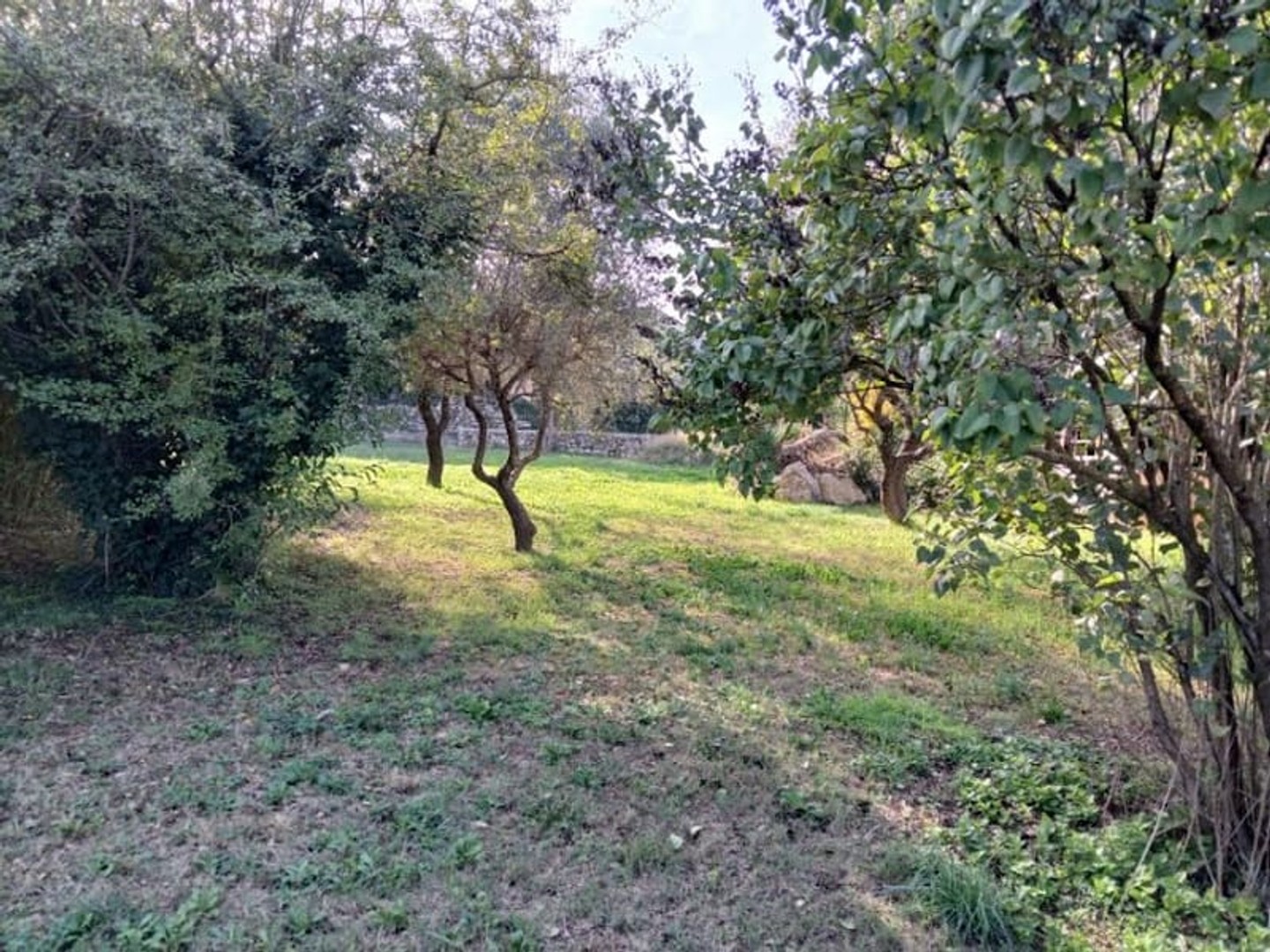 Terrain 277 m²