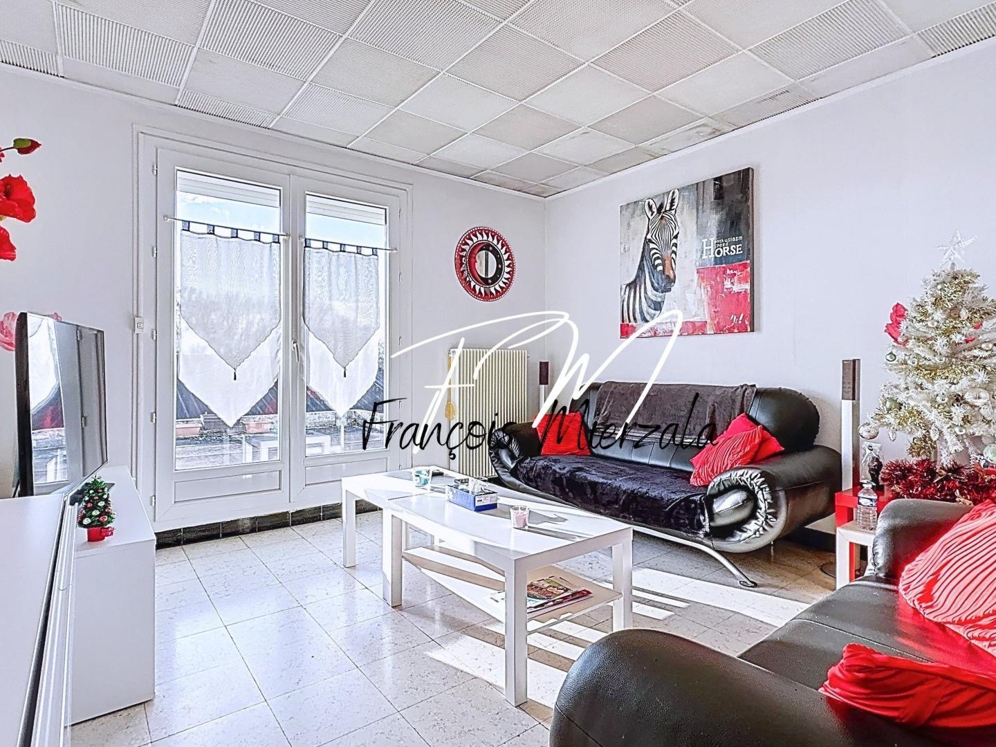 Hangar + Appartement T3