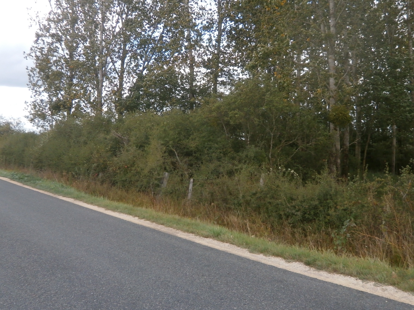 Terrain à vendre - 2370m2 - Saint-Georges-Sur... (18100)