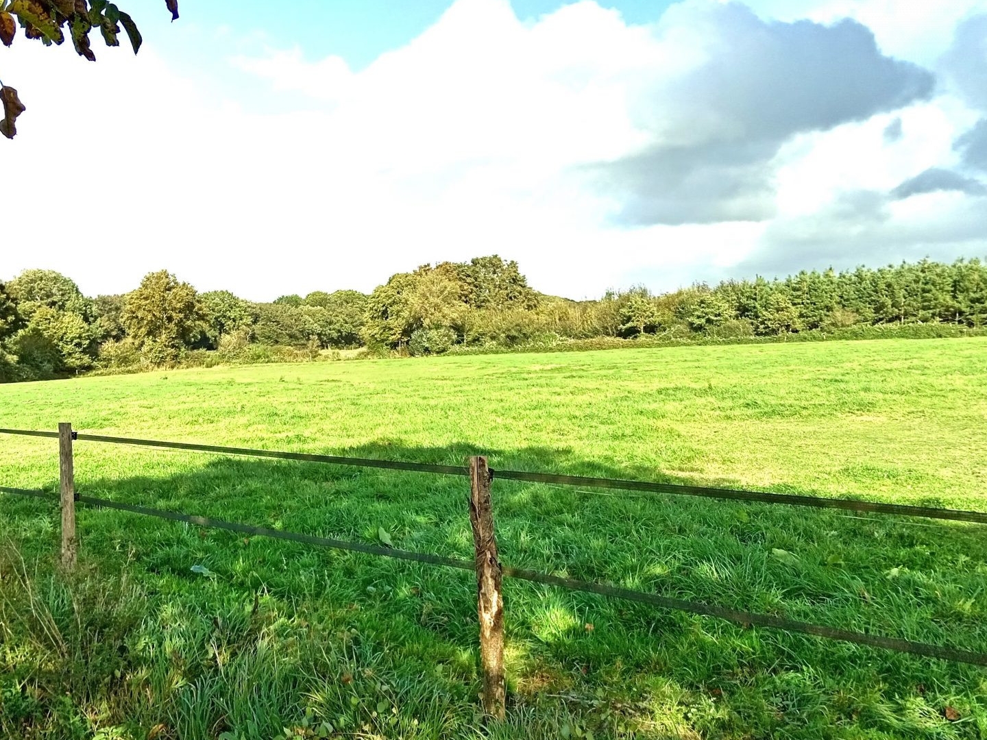 Terrain à vendre - 170000m2 - Vallons-De-L'erdre (44540)