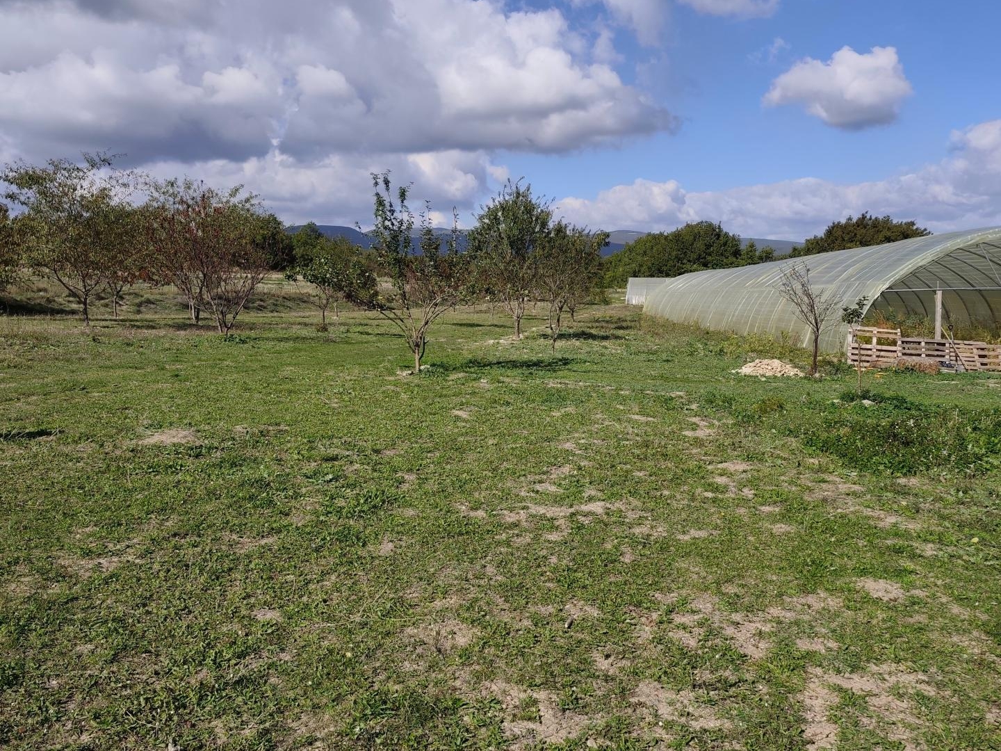 Terrain à vendre - 19748m2 - Saint-Martin-De-C... (84750)