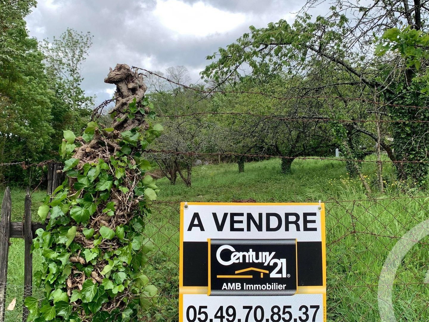 Terrain 1770 m²