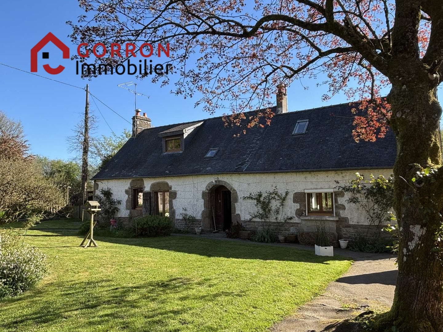 Maison à vendre - 7 pièces - 177m2 - Saint-Berthevin-L... (53220)