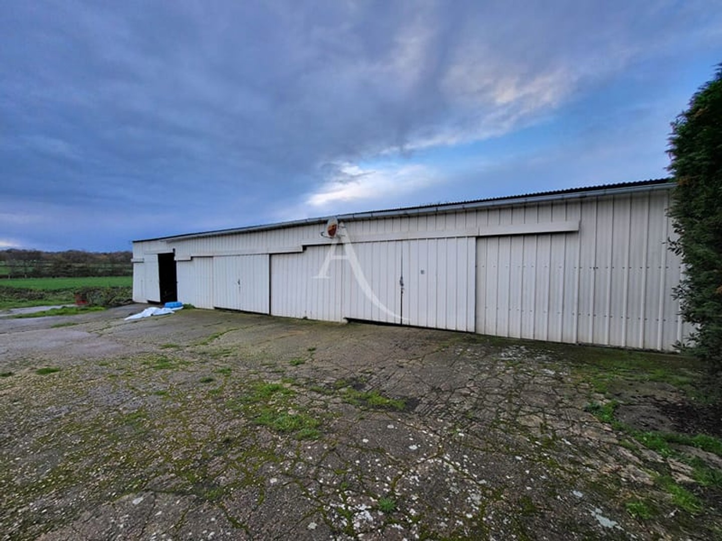 Local 200 m²