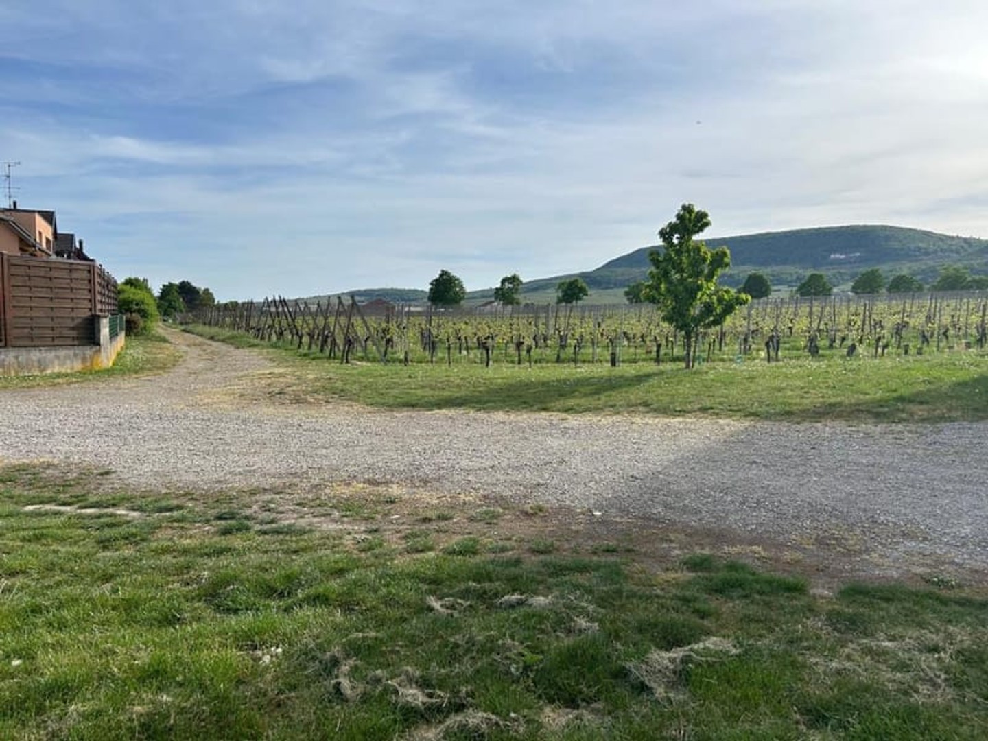 Terrain à vendre - 400m2 - Hattstatt (68420)