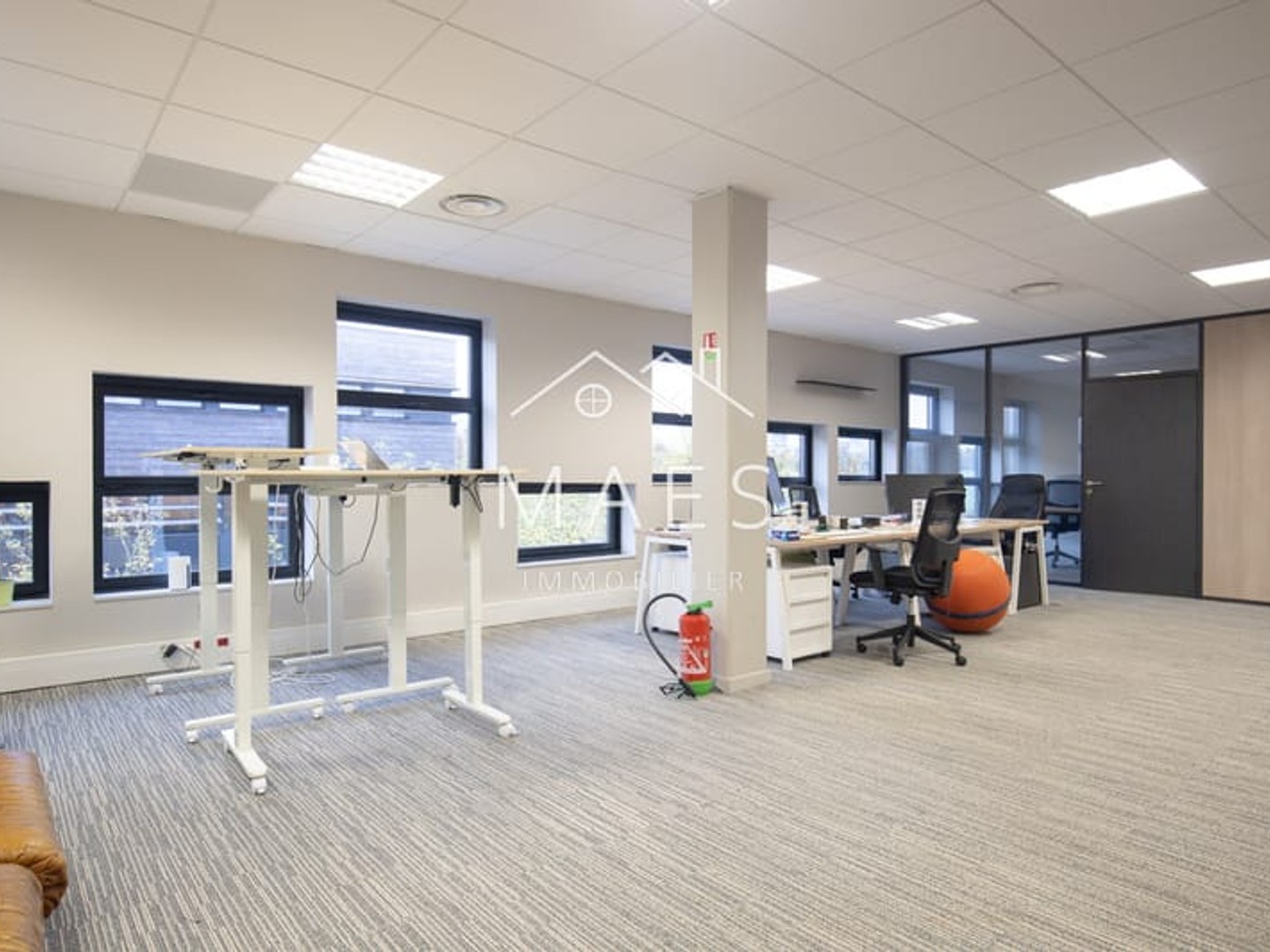 LOOS - Local profess