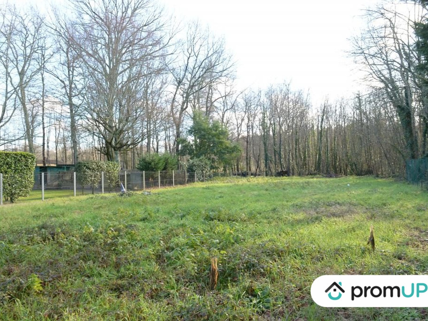 Terrain 3650 m²