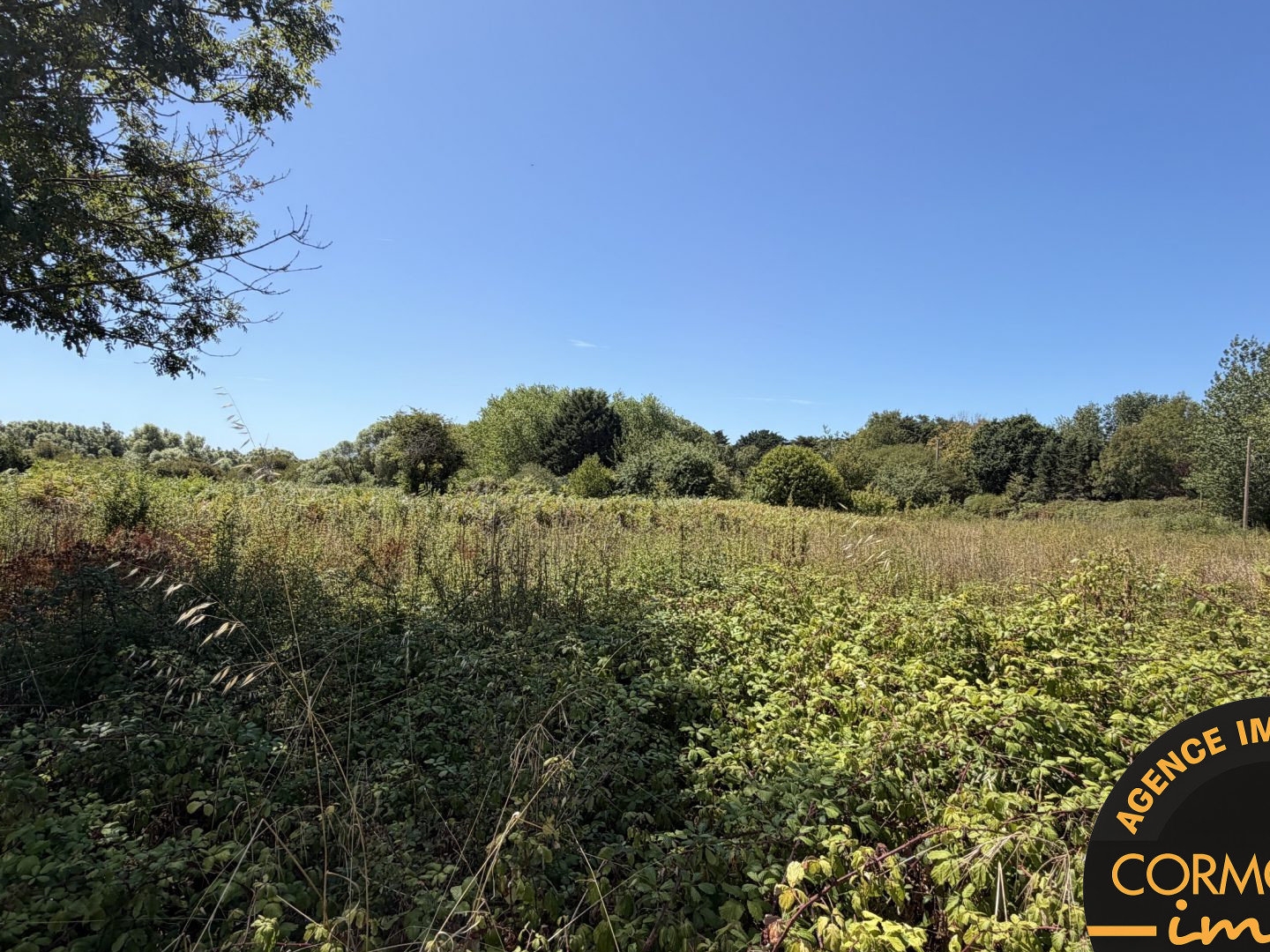 Terrain à vendre - 2400m2 - Plomeur (29120)