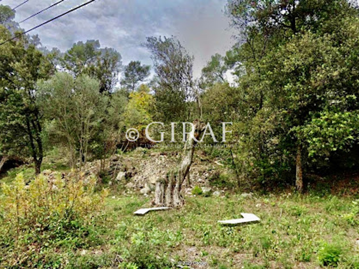 Terrain 3075 m²