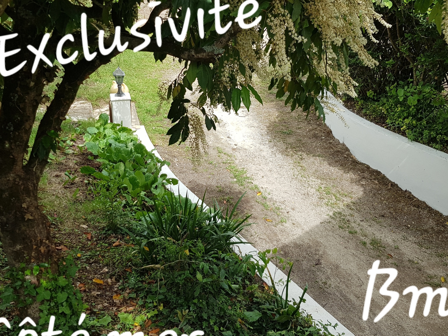 Maison à vendre - 7 pièces - 184m2 - Fouras (17450)