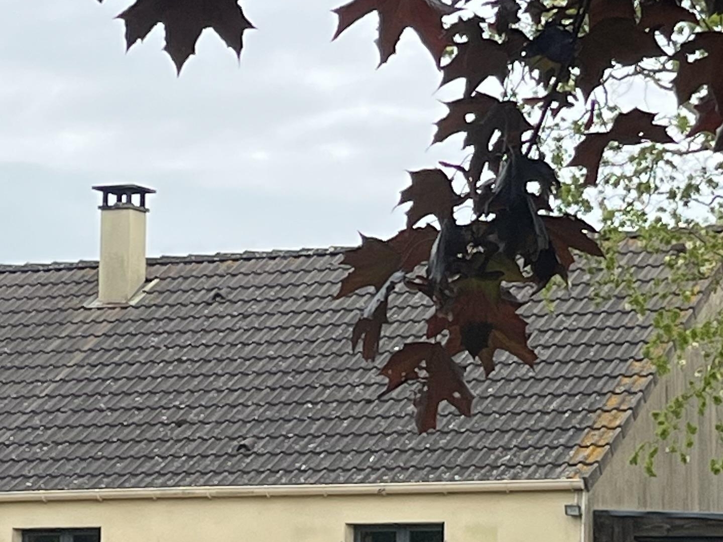 Maison à vendre - 4 pièces - 87m2 - Sainte-Marguerite... (14330)