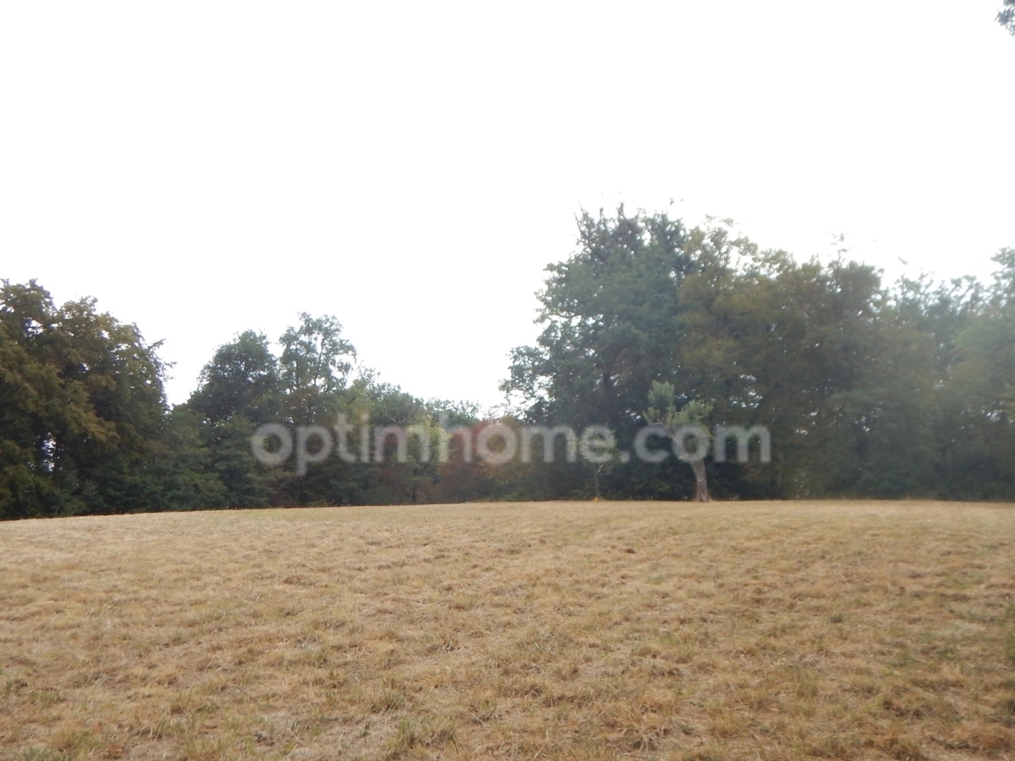 Terrain 2950 m²