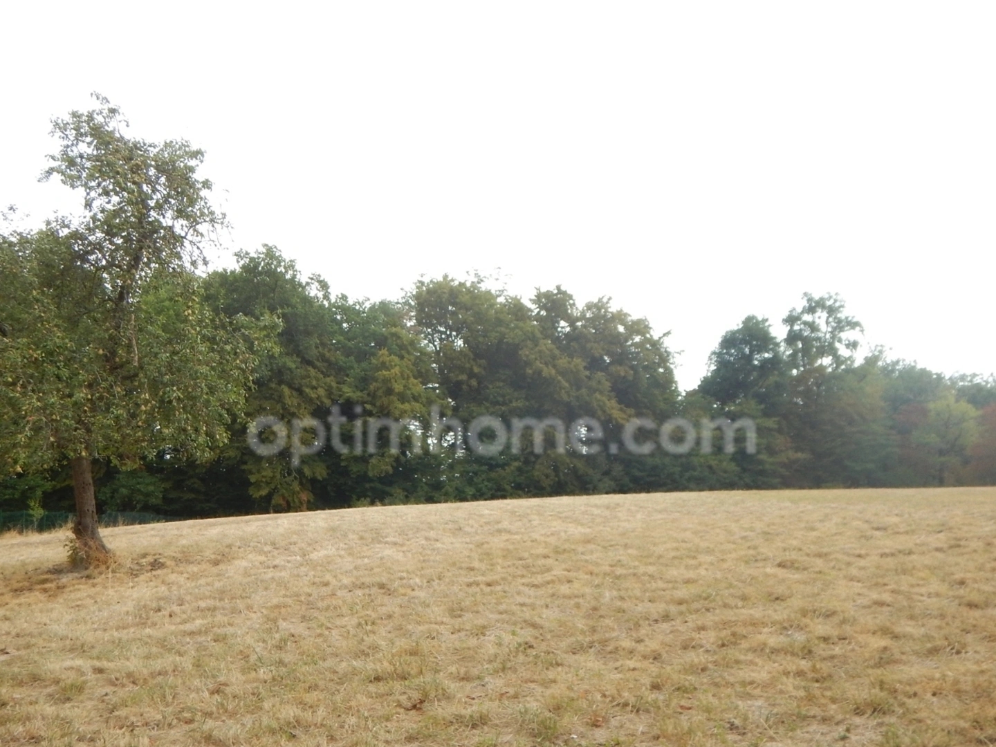Terrain à vendre - 2950m2 - Champcevinel (24750)