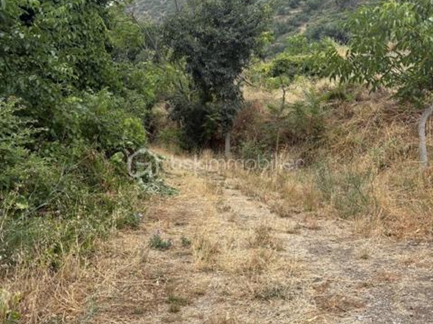 Terrain à vendre - 4495m2 - Ria-Sirach (66500)
