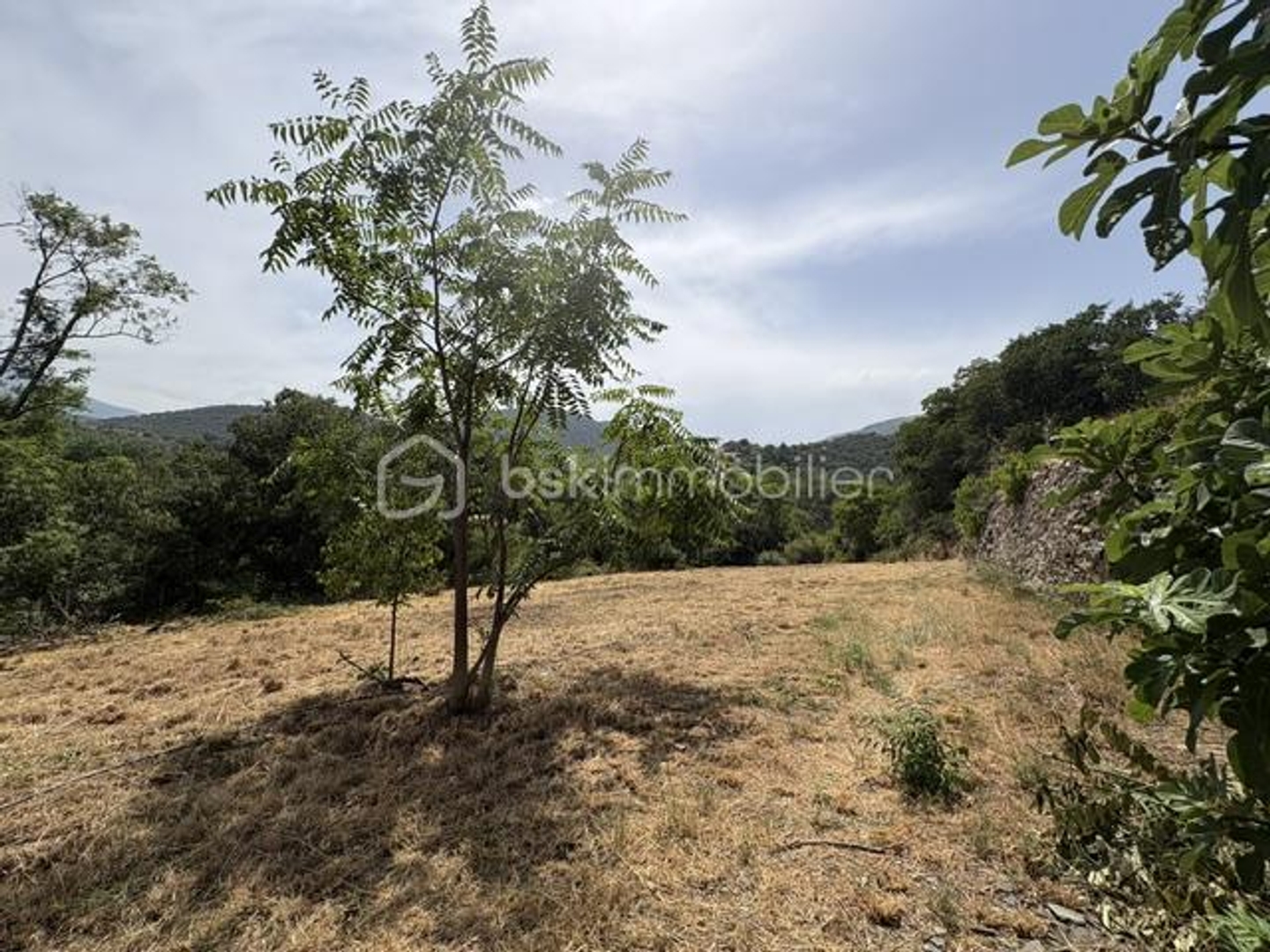 Terrain à vendre - 4495m2 - Ria-Sirach (66500)