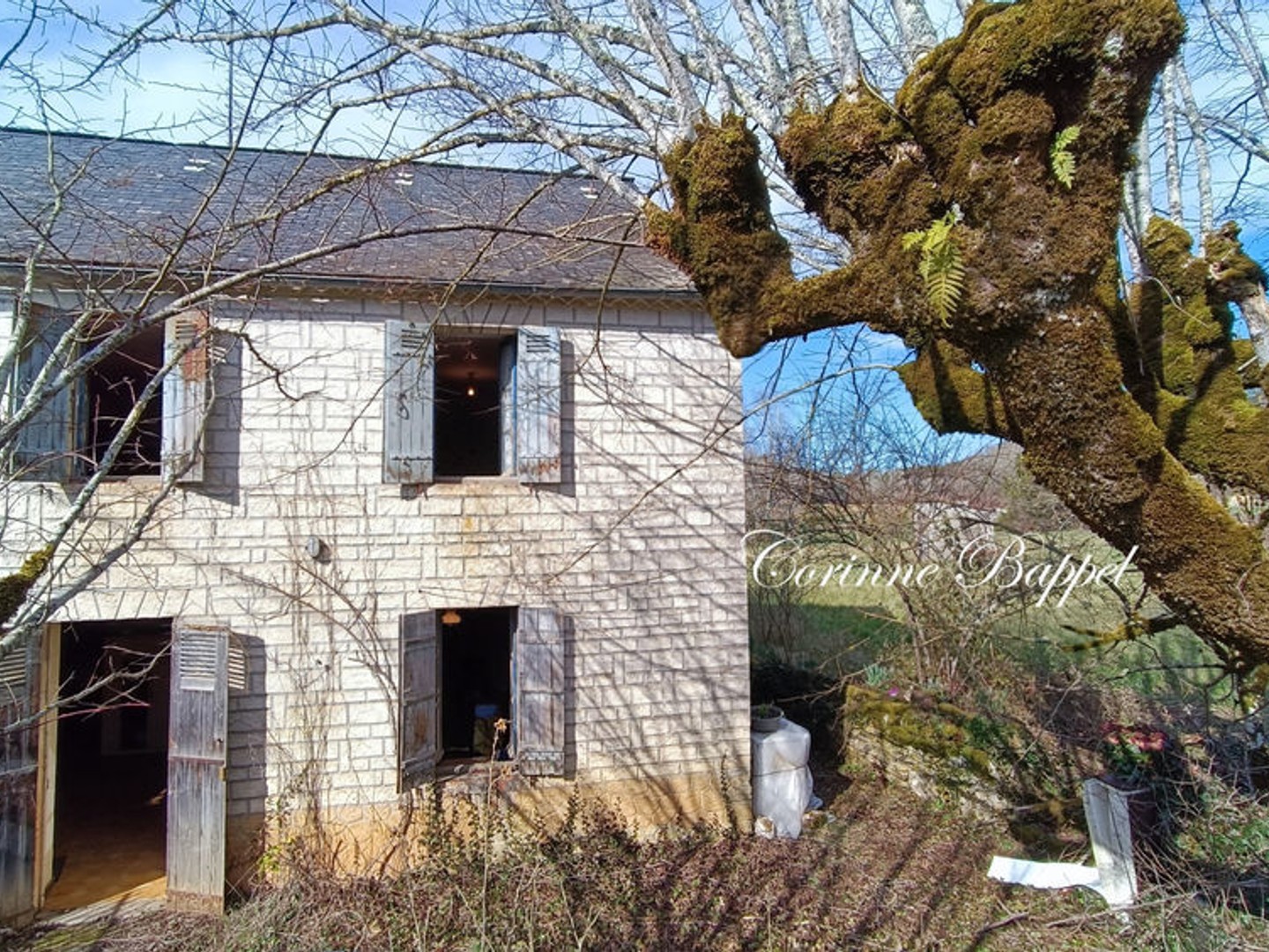 Terrain entièrement constructible