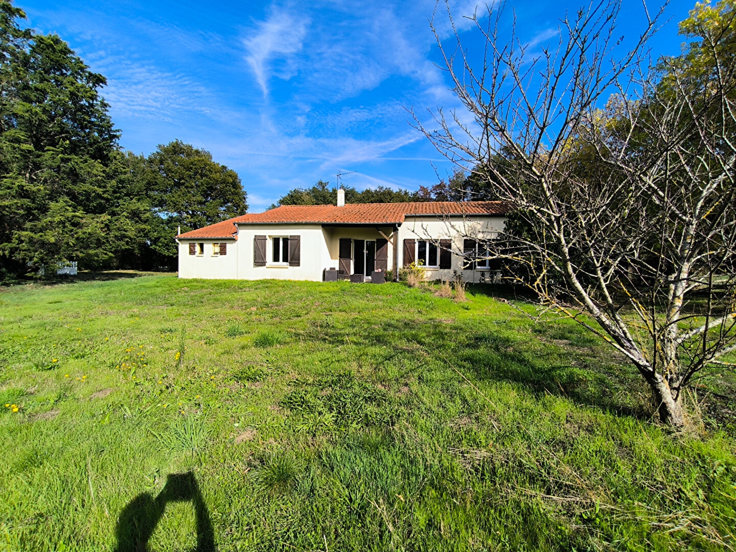 Maison 6 pièces à vendre à Bouillé Saint Paul Val en Vignes