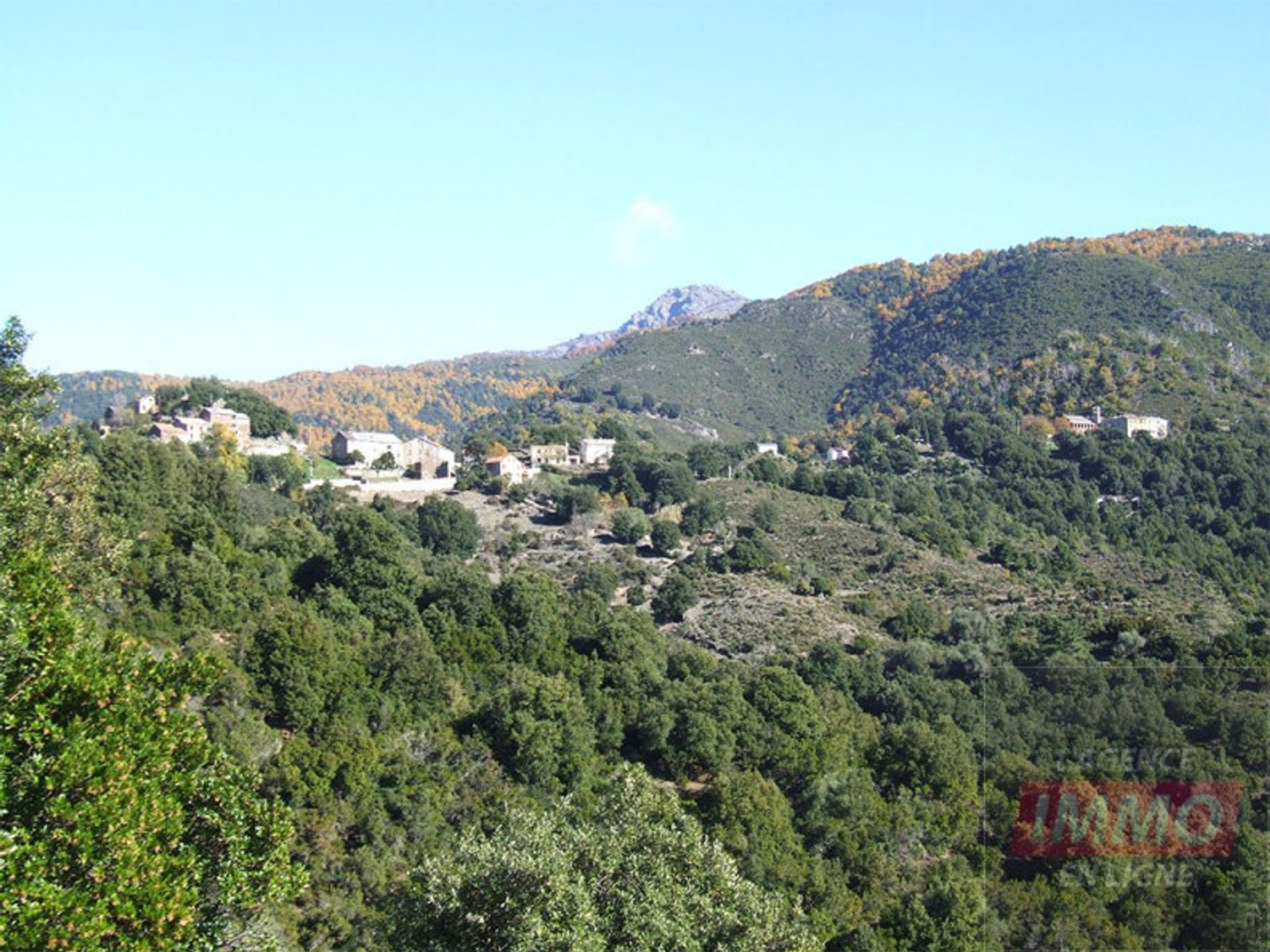 Appartement en rez-de-jardin 3 pièces 76 m²