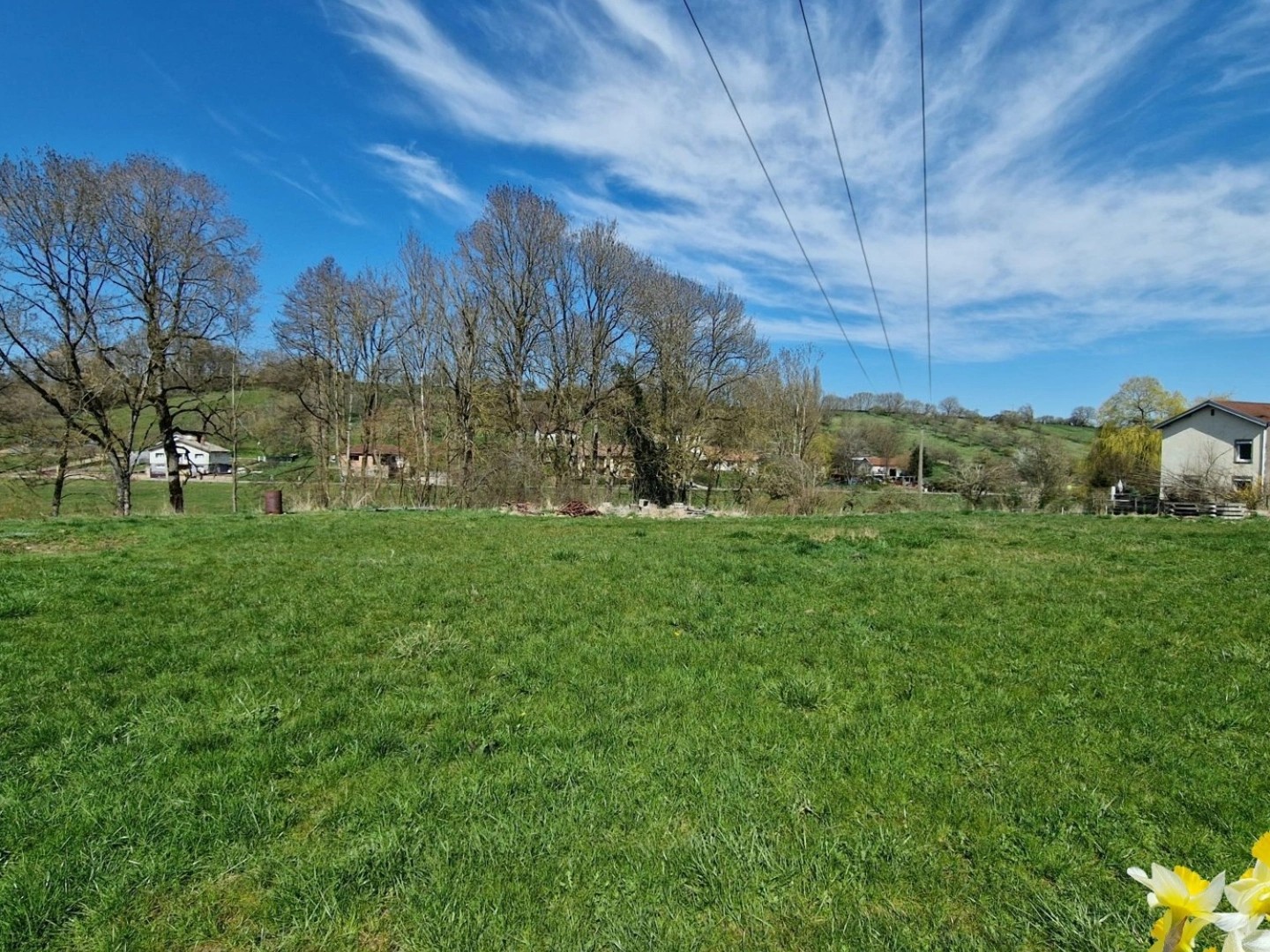 Terrain 3164 m²