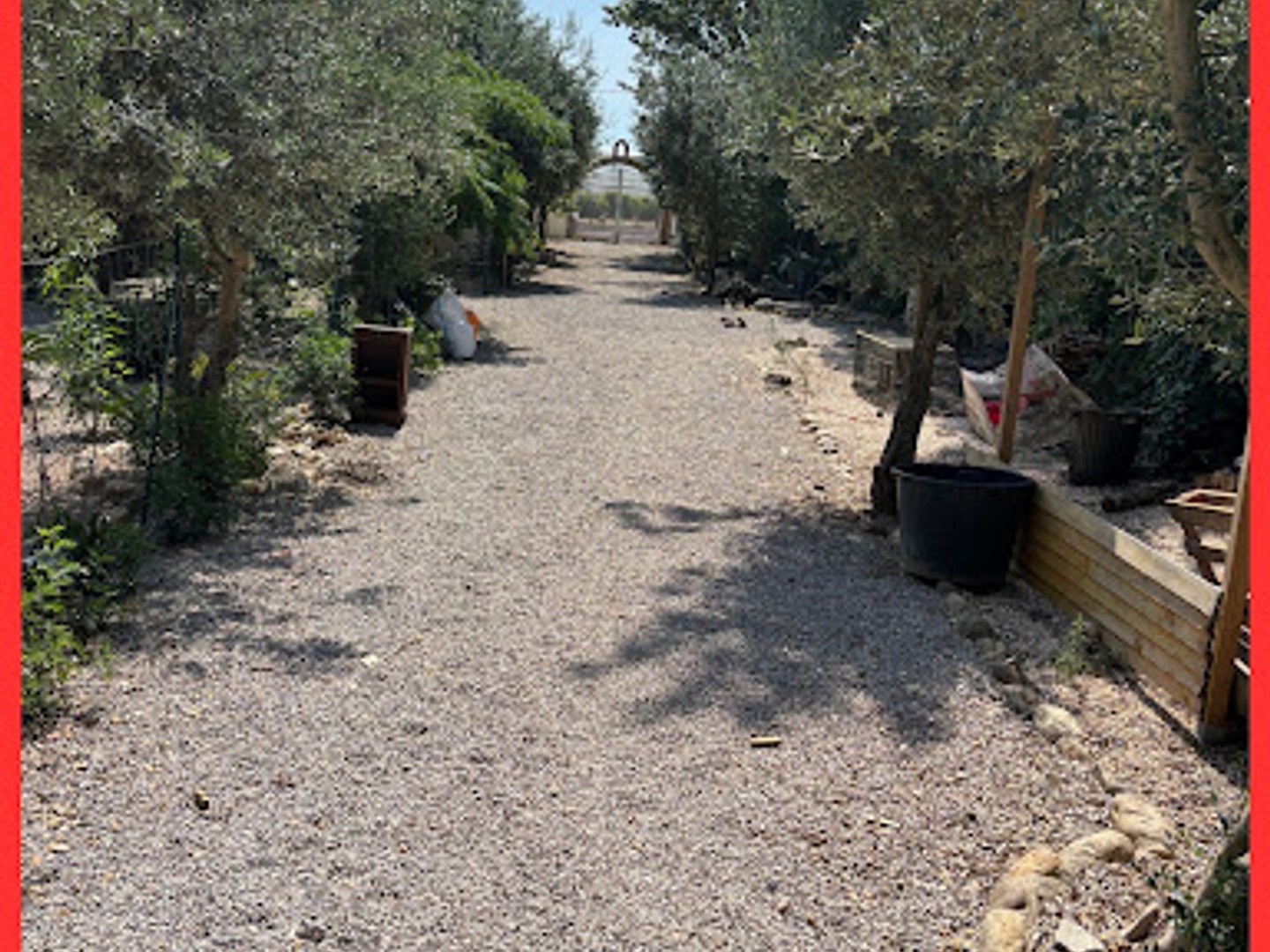 Local commercial 5 pièces 320 m²