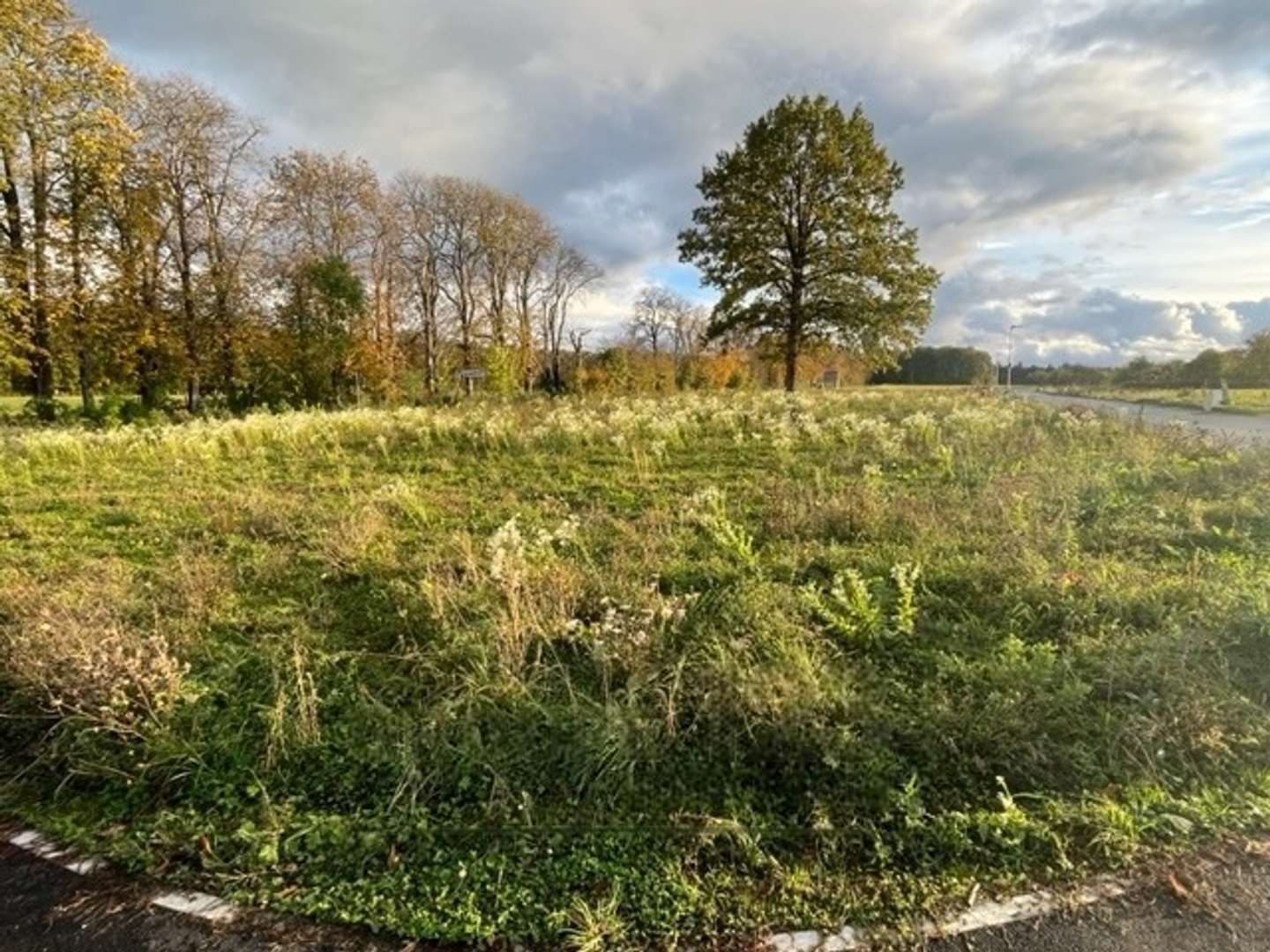 Terrain à vendre - 638m2 - Seignelay (89250)