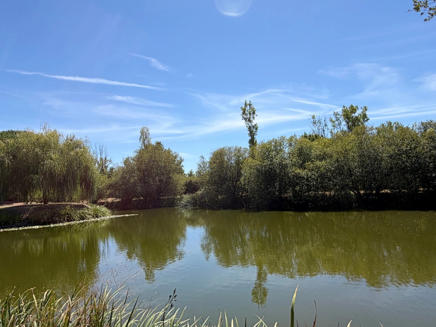 Maison à vendre - 6 pièces - 235m2 - Soullans (85300)