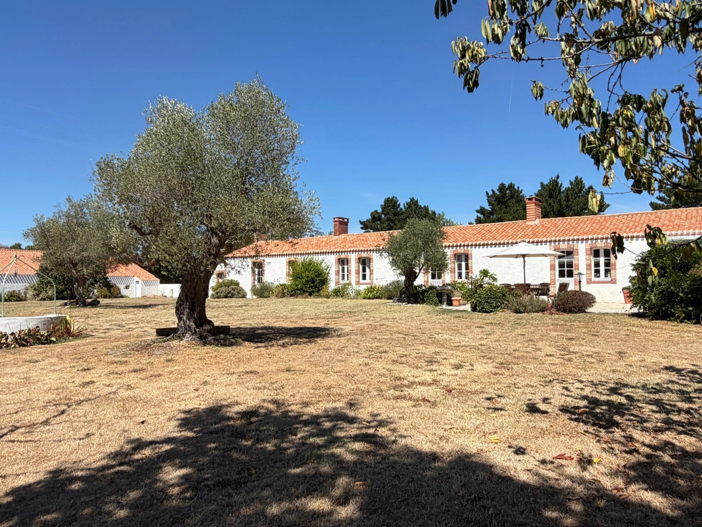 Maison à vendre - 6 pièces - 235m2 - Soullans (85300)