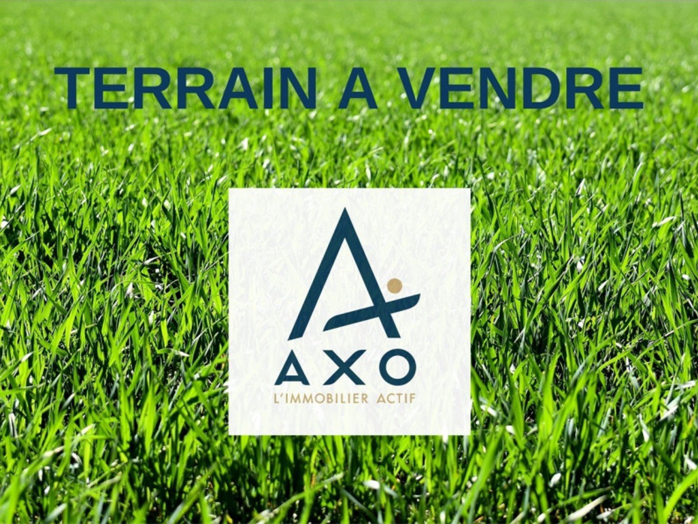 Terrain à vendre - 10400m2 - Ménesplet (24700)