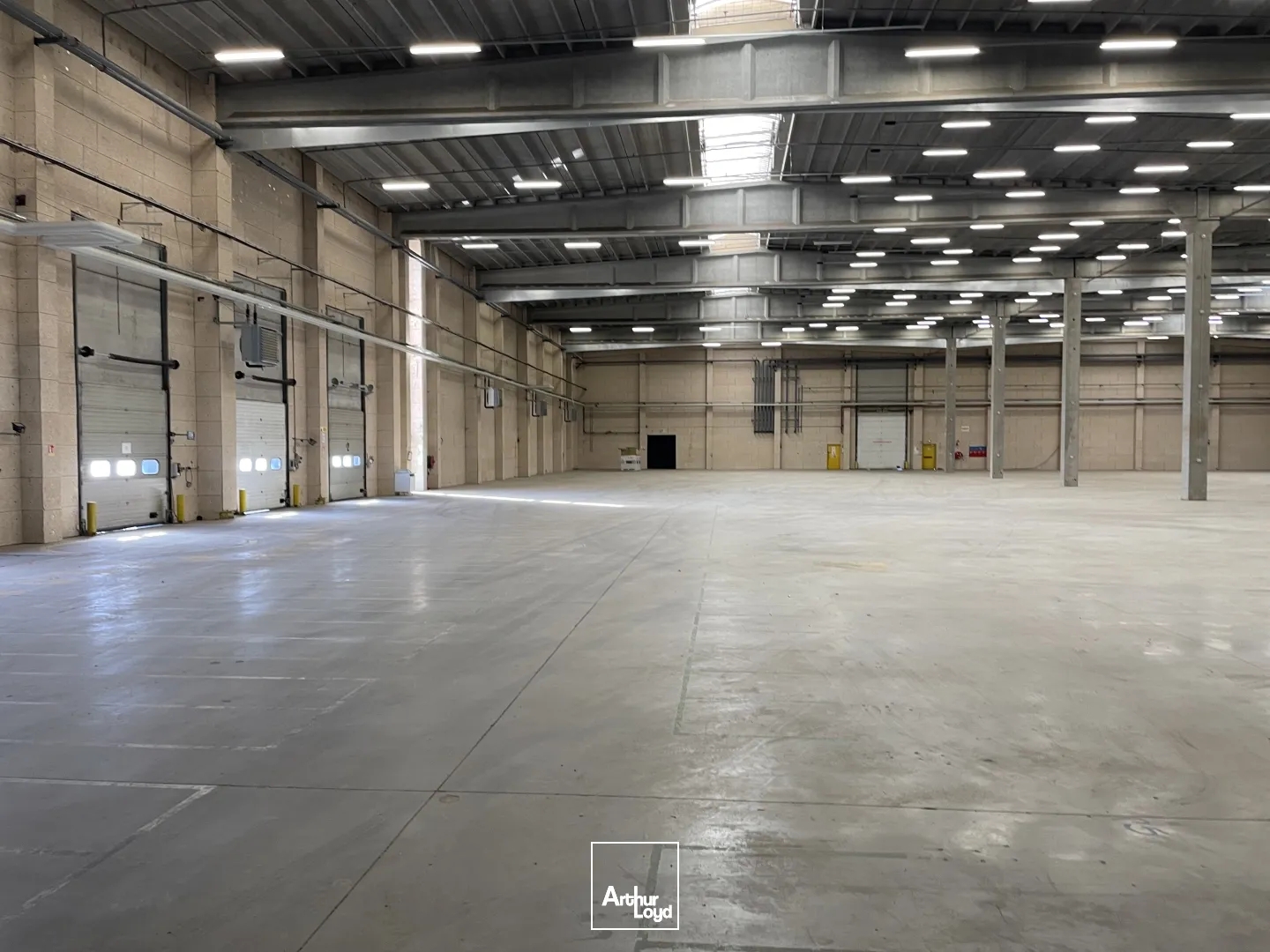 Magasin à vendre - 10250m2 - Camon (80450)