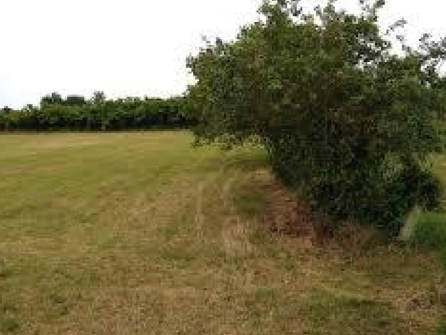 Terrain à bâtir 1200 m²