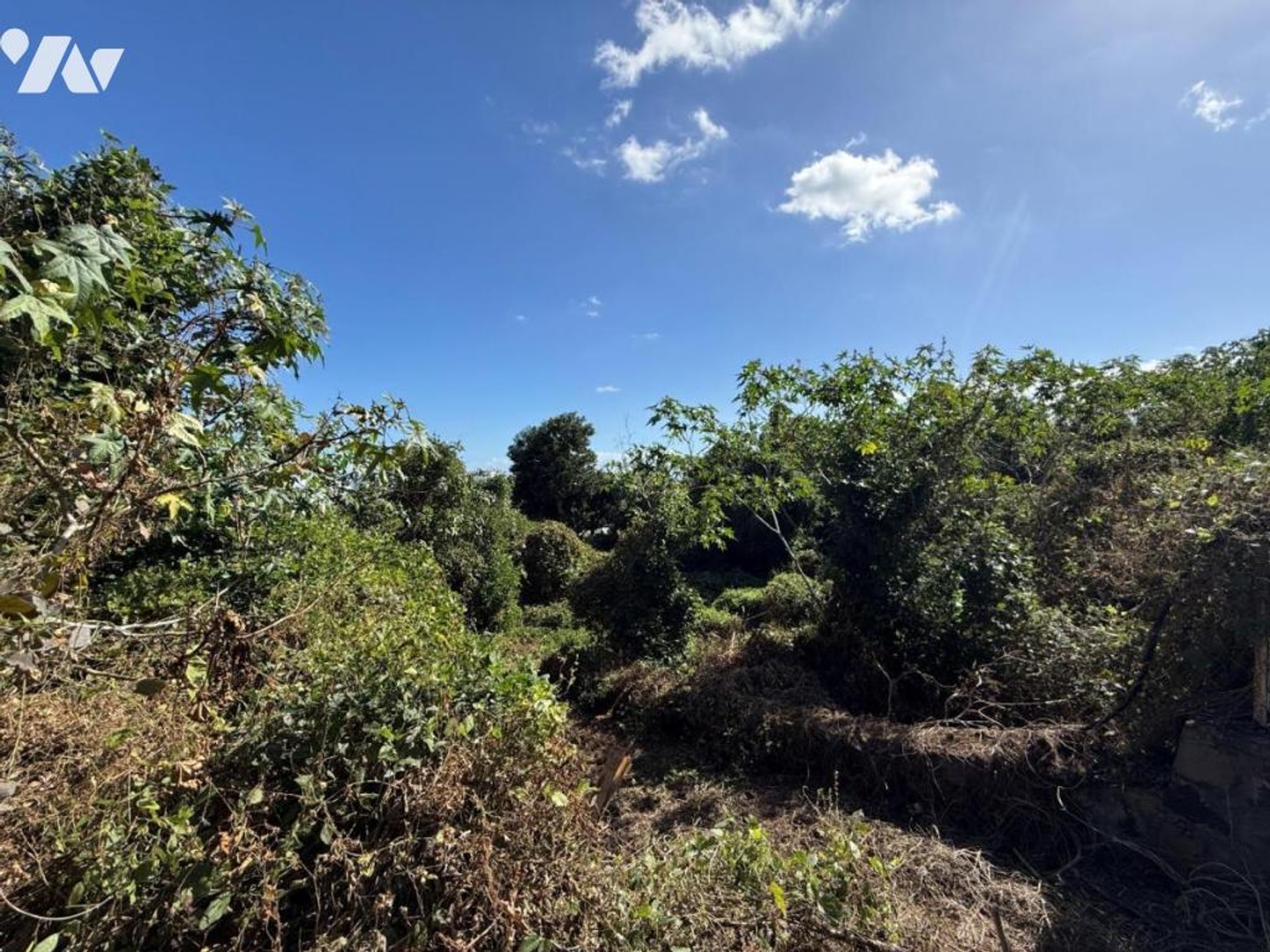 Terrain 515 m²